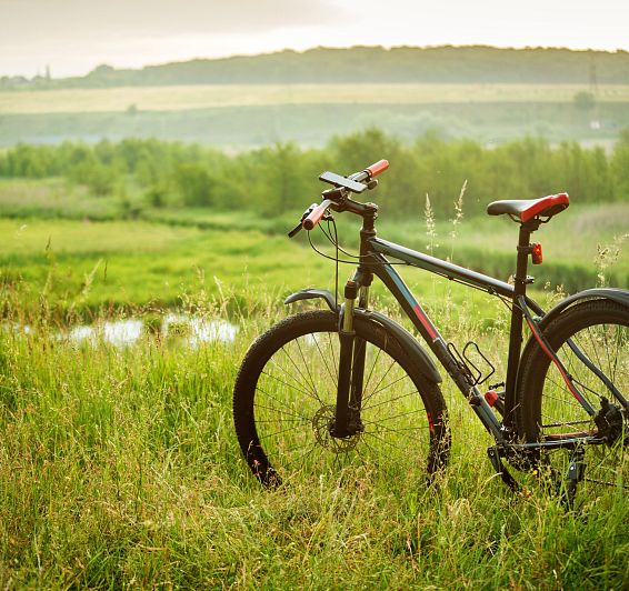 Ruta Tierra de humedales en el Empordà en bicicleta